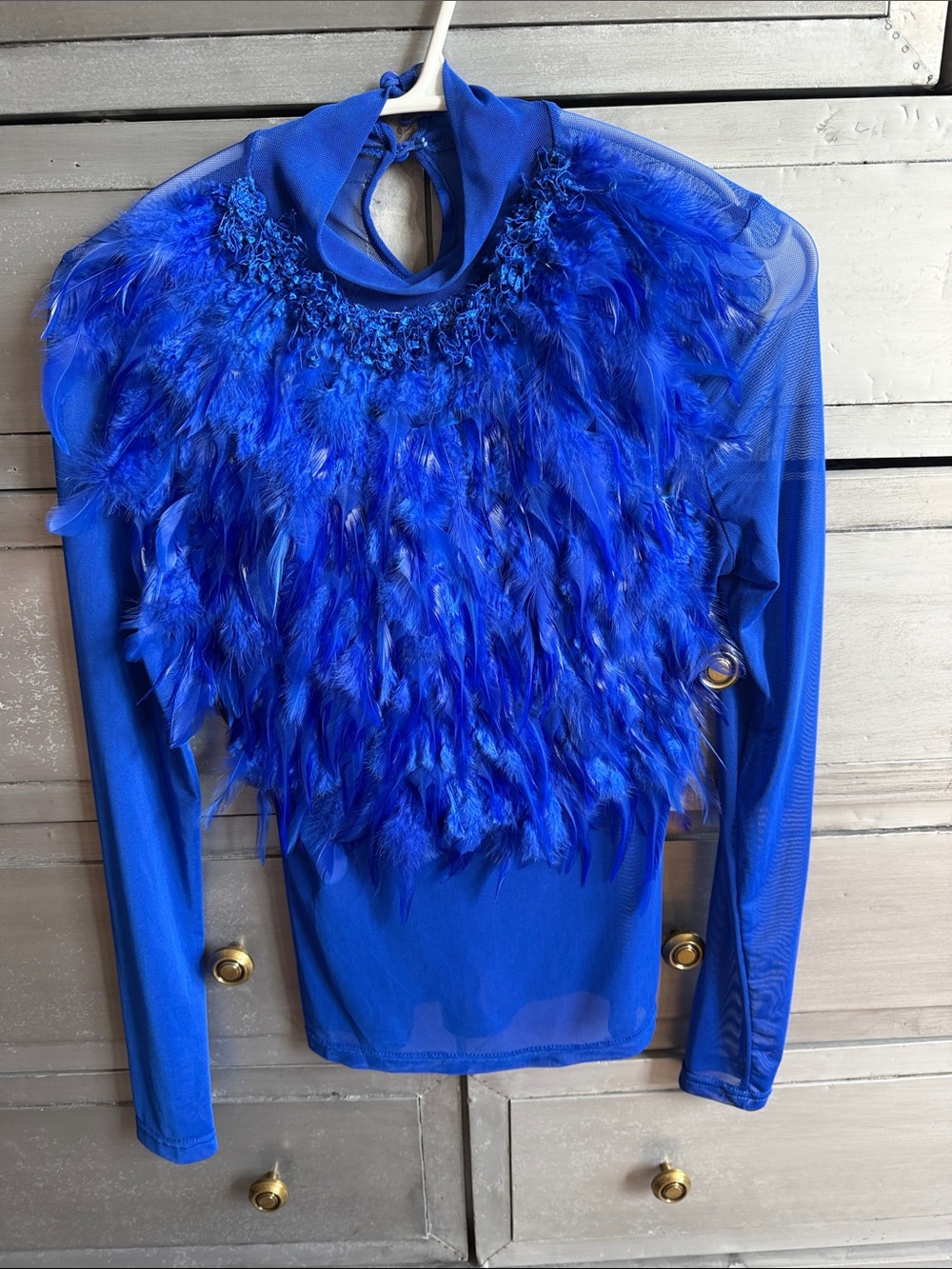Gracia Electric Blue Feather-Front Long Sleeve Top